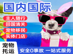 荆州沙市空运代理国际宠物托运 【国